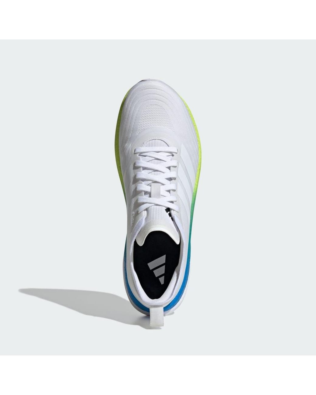 Adidas Blue Moveboost Shoes