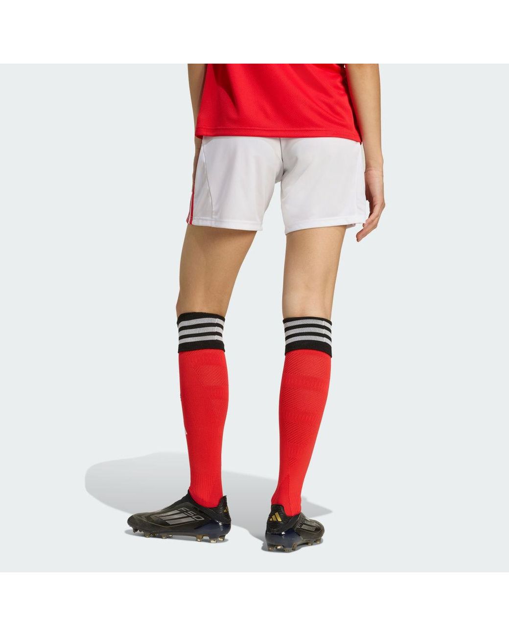 Adidas Red Benfica 25/26 Home Shorts