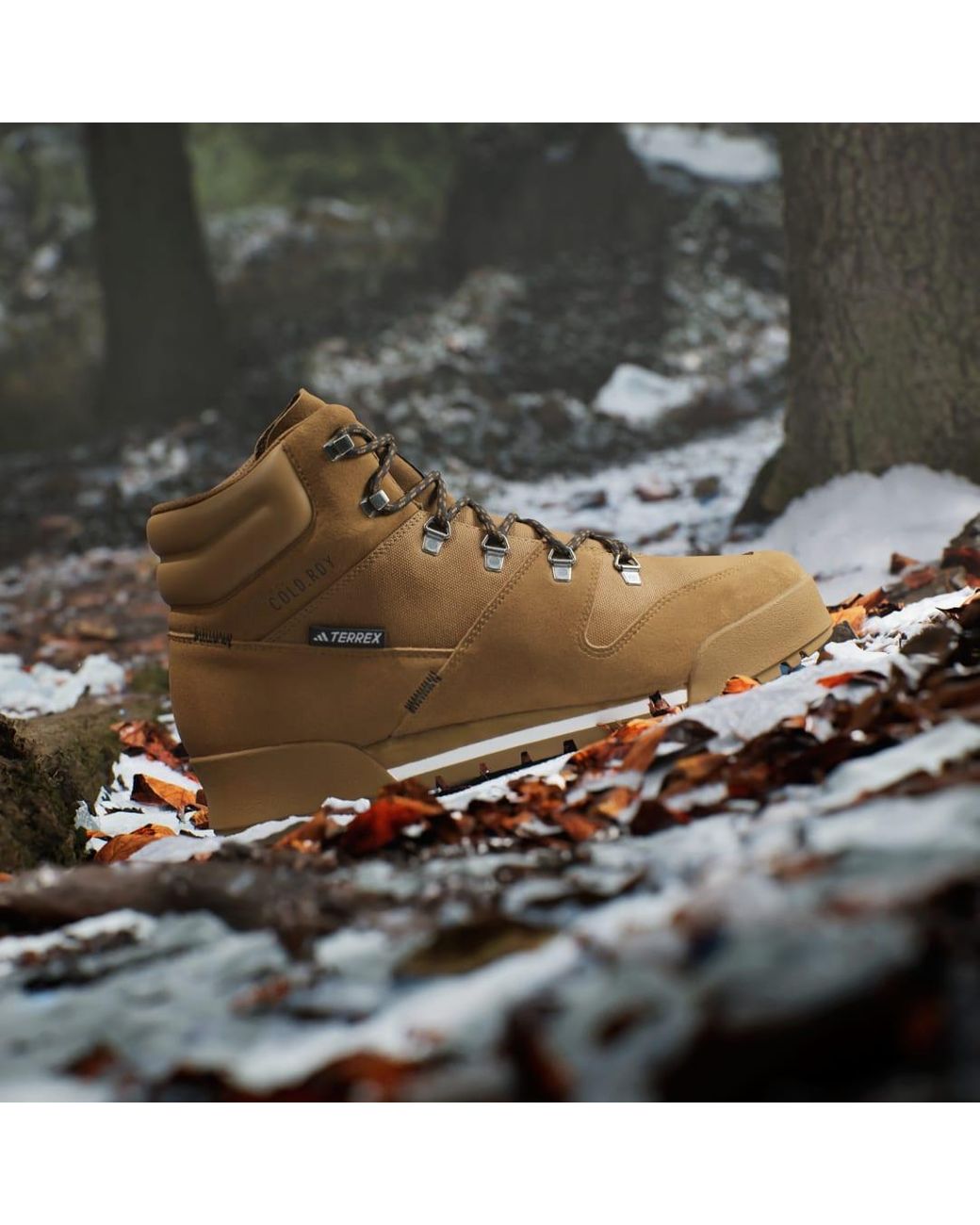adidas Terrex Snowpitch Cold.Rdy Hiking Shoes in Brown for Men | Lyst UK