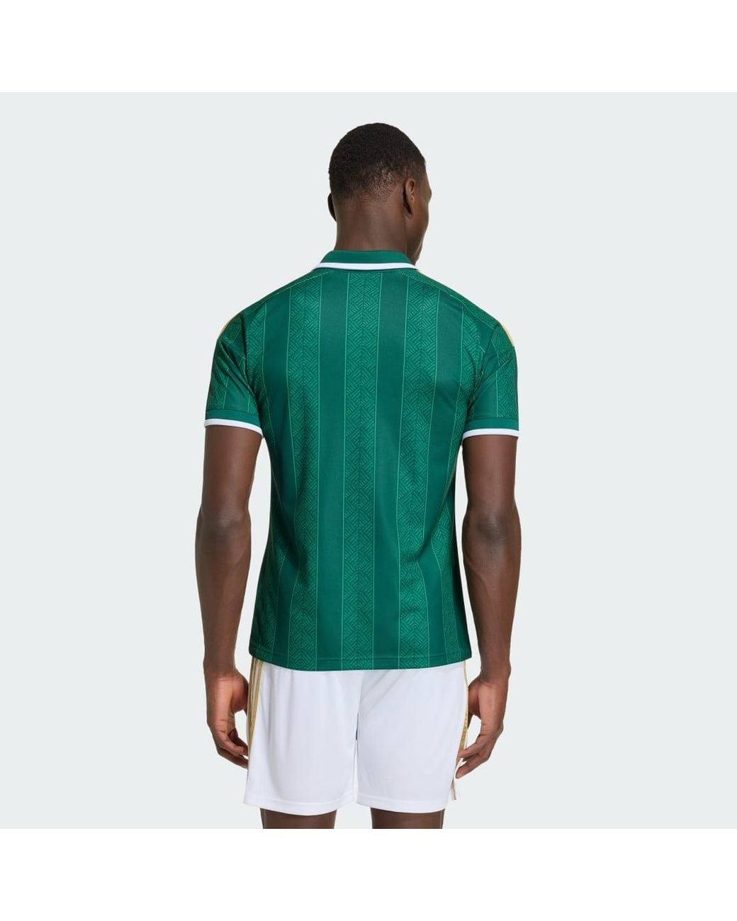 Adidas Green South Africa 26 Away Jersey for men