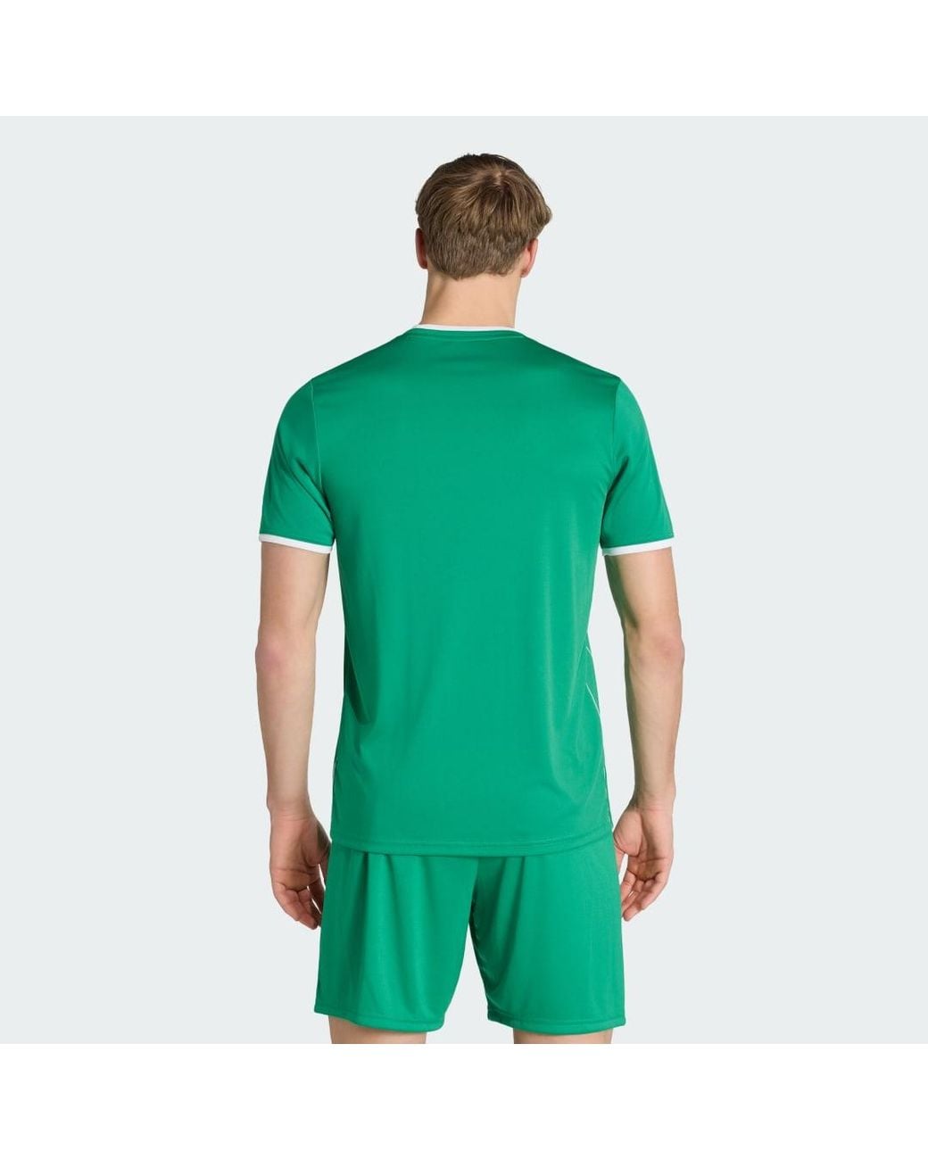 Adidas Green Entrada26 Graphic Jersey for men