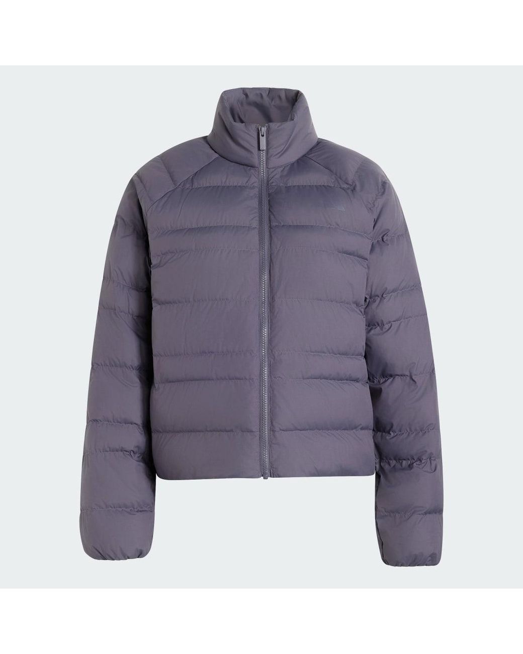 Adidas Originals Blue Essentials Packable Insulated Jacket