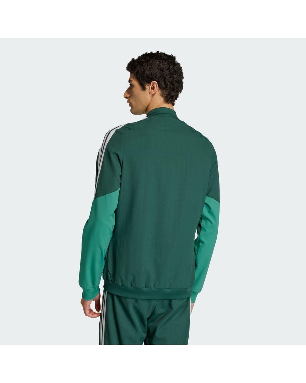 Adidas Green Algeria 26 Presentation Jacket for men