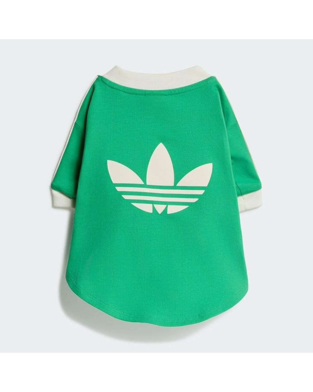 Adidas Green Pet Cali Tee