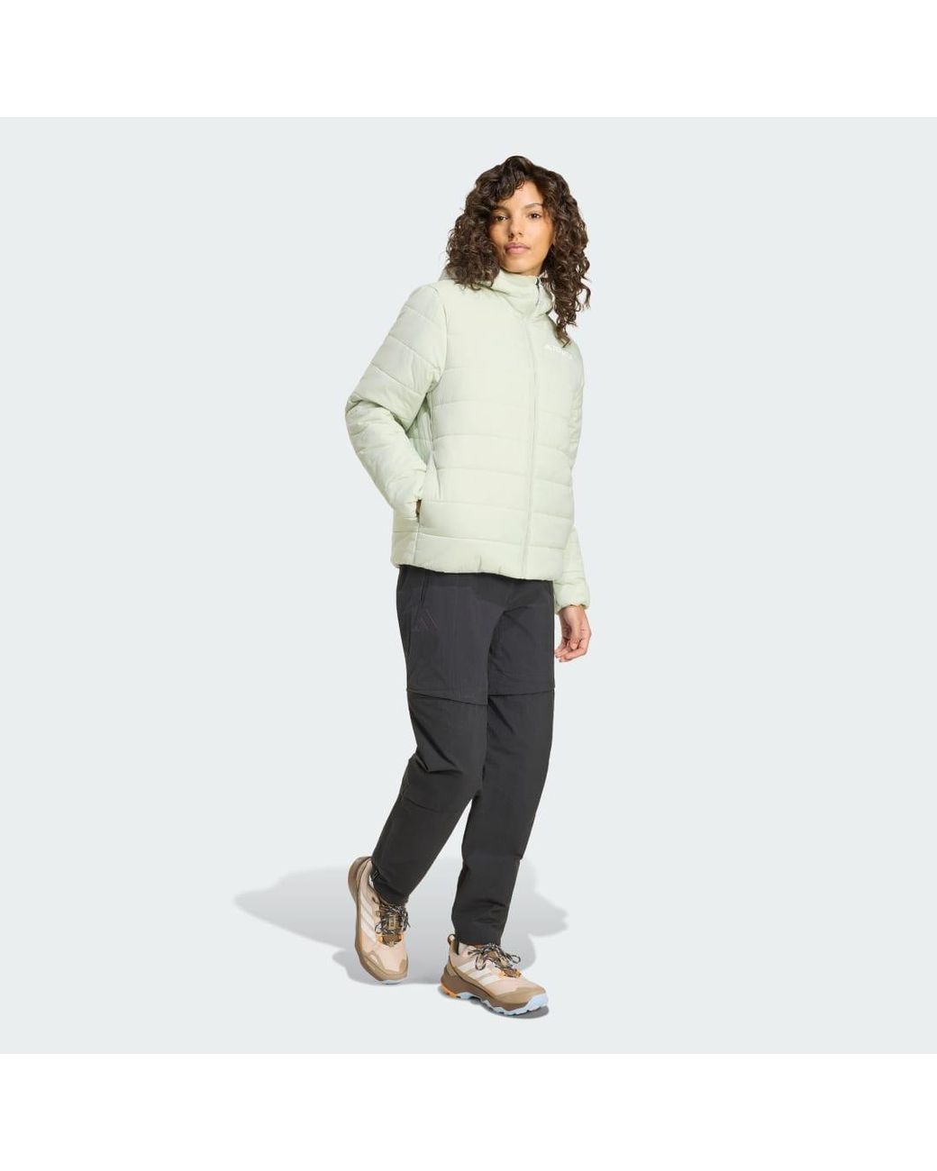 Adidas Gray Terrex Xperior Utilitas Clima365 Zip-Off Tracksuit Bottoms