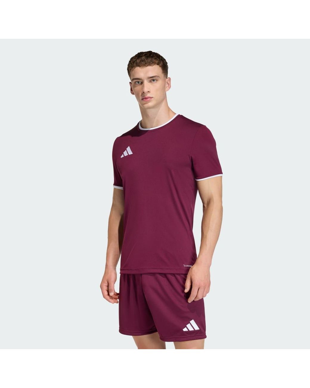 Adidas Purple Entrada26 Jersey for men