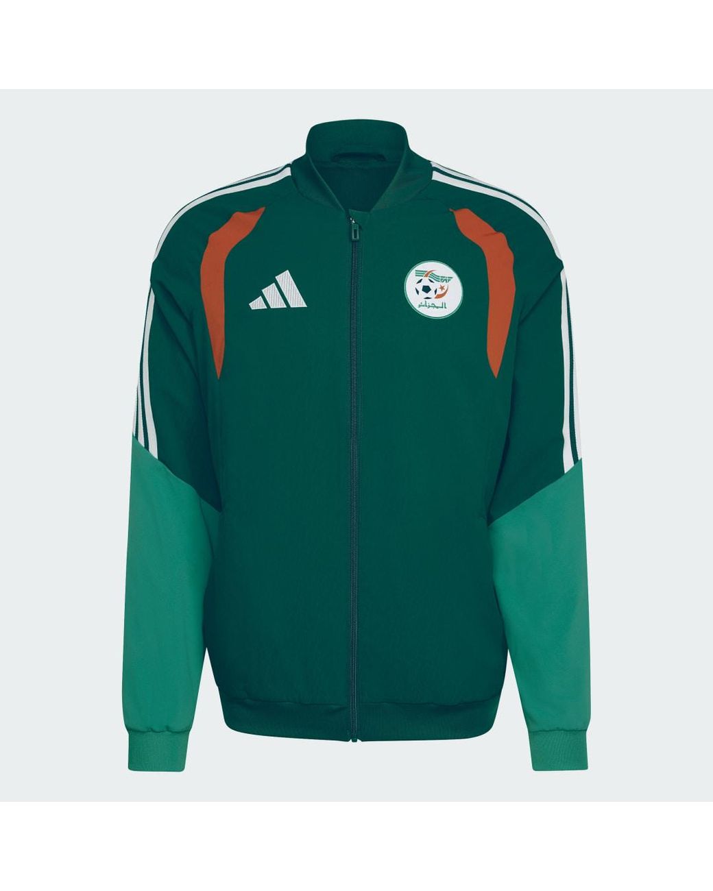 Adidas Green Algeria 26 Presentation Jacket for men