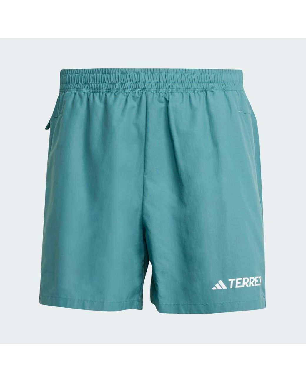 Adidas Blue Terrex Shorts for men