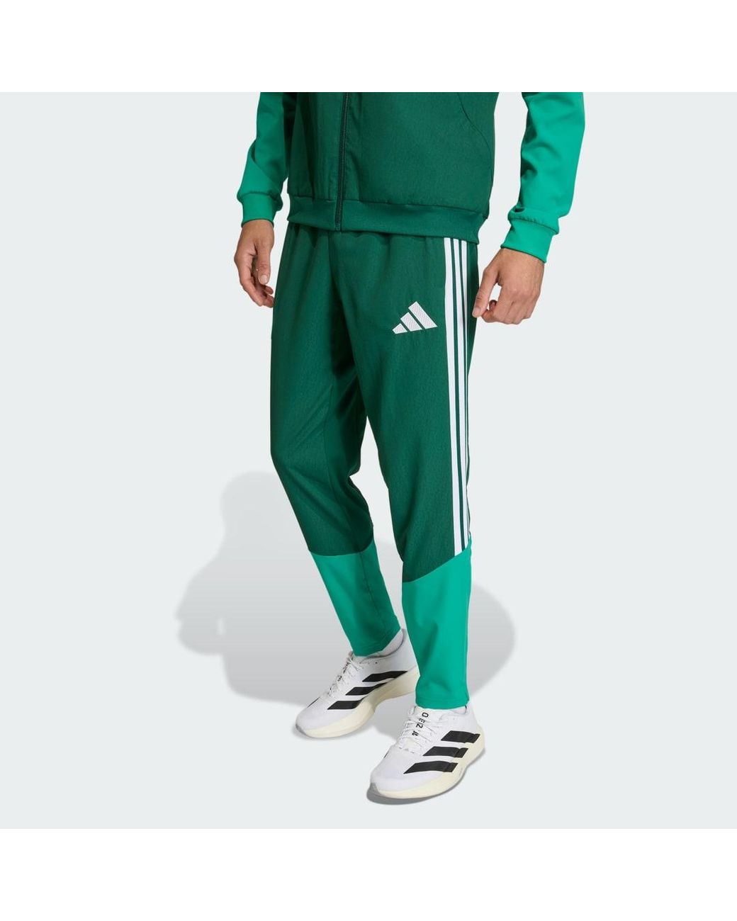 Adidas Green Algeria 26 Presentation Tracksuit Bottoms for men