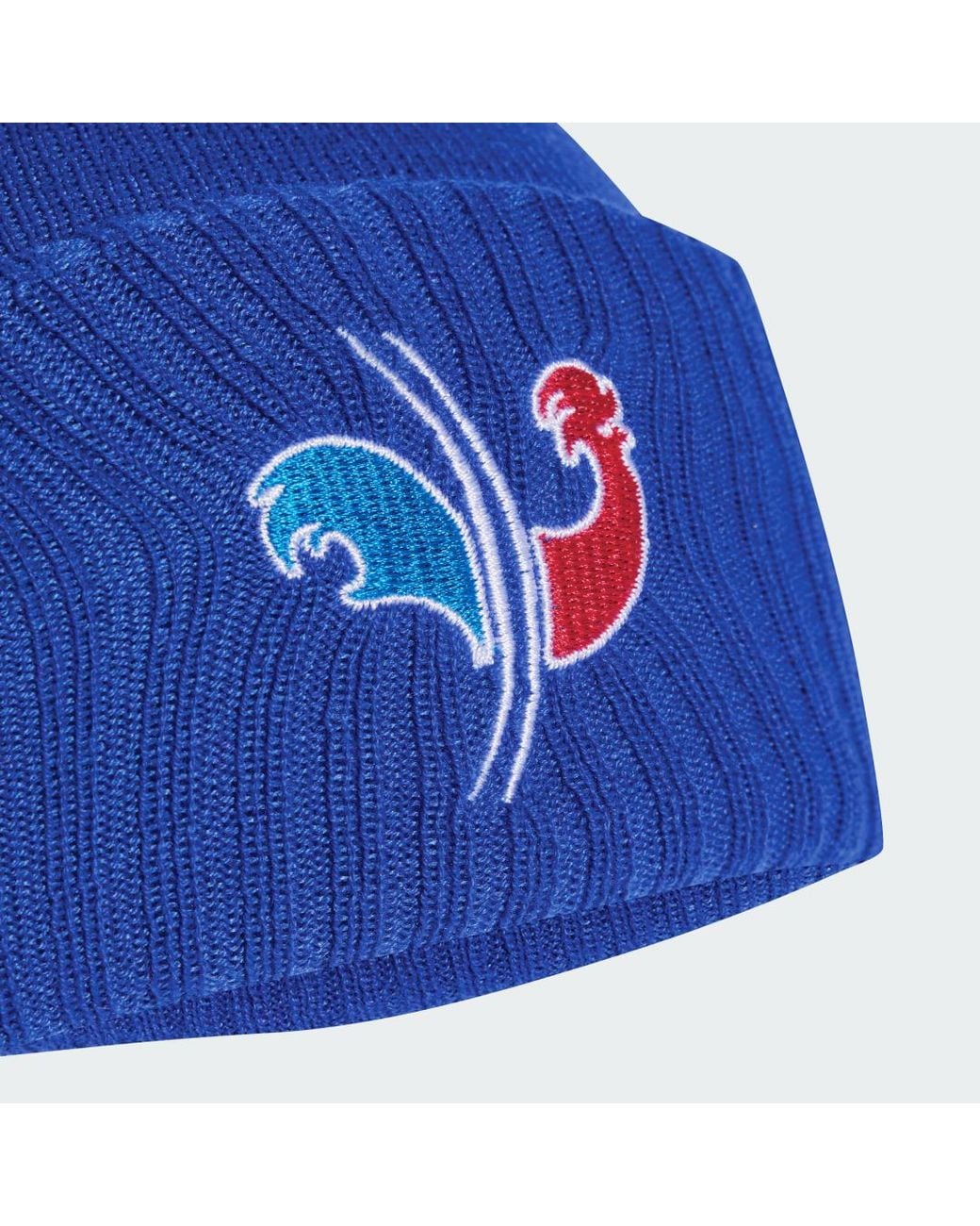 Adidas Blue Terrex Xploric Pom Beanie