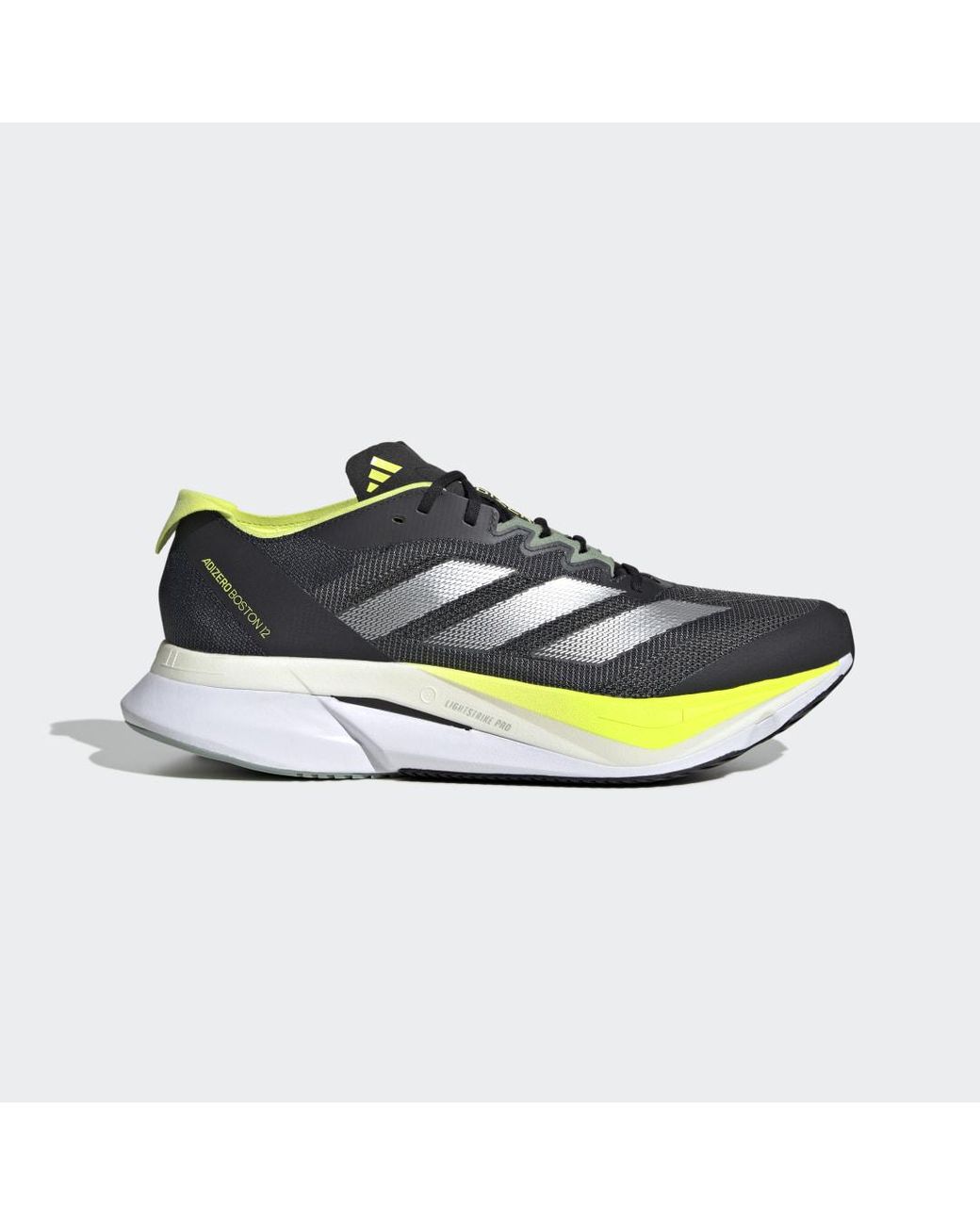 Adidas Blue Adizero Boston 12 Shoes for men