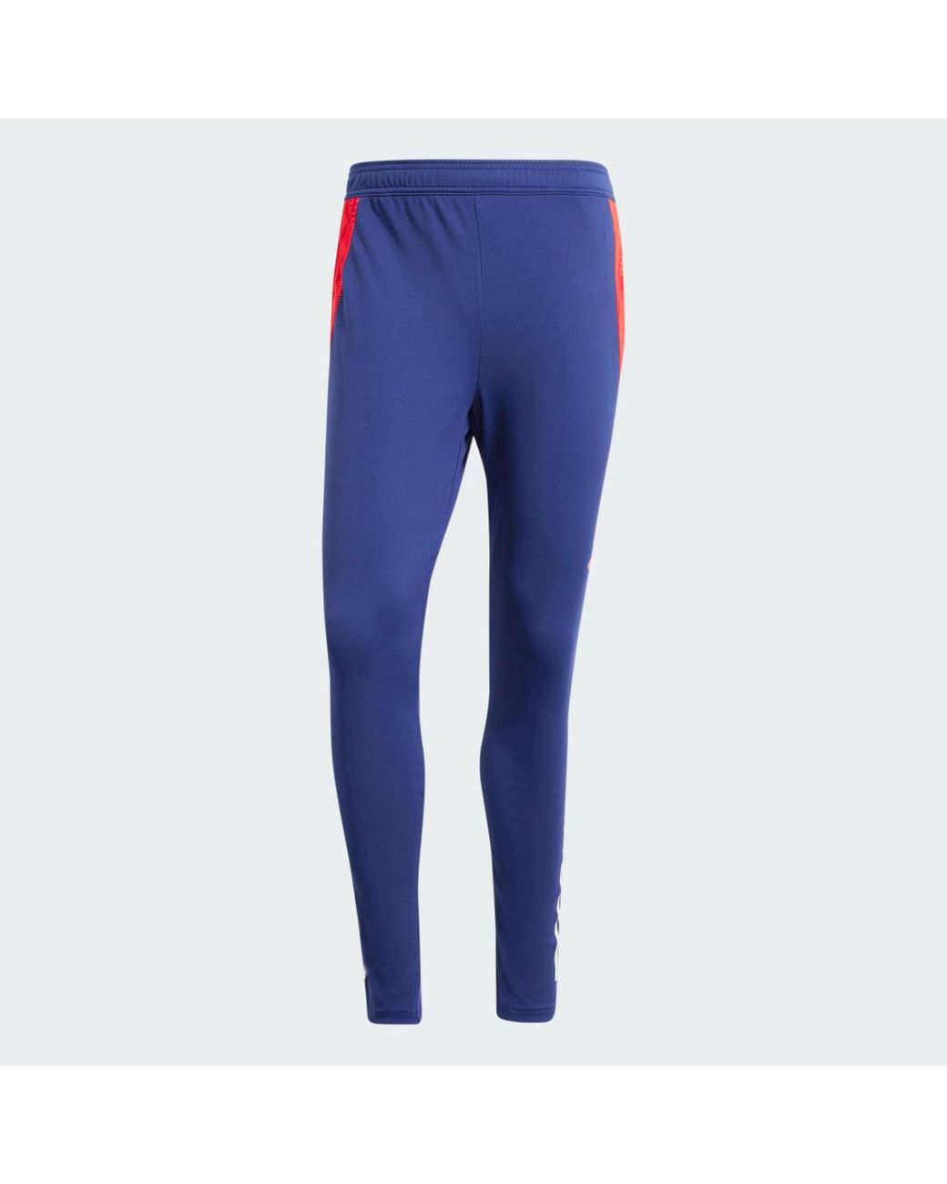 Adidas Blue Olympique Lyonnais Tiro 24 Training Pants for men