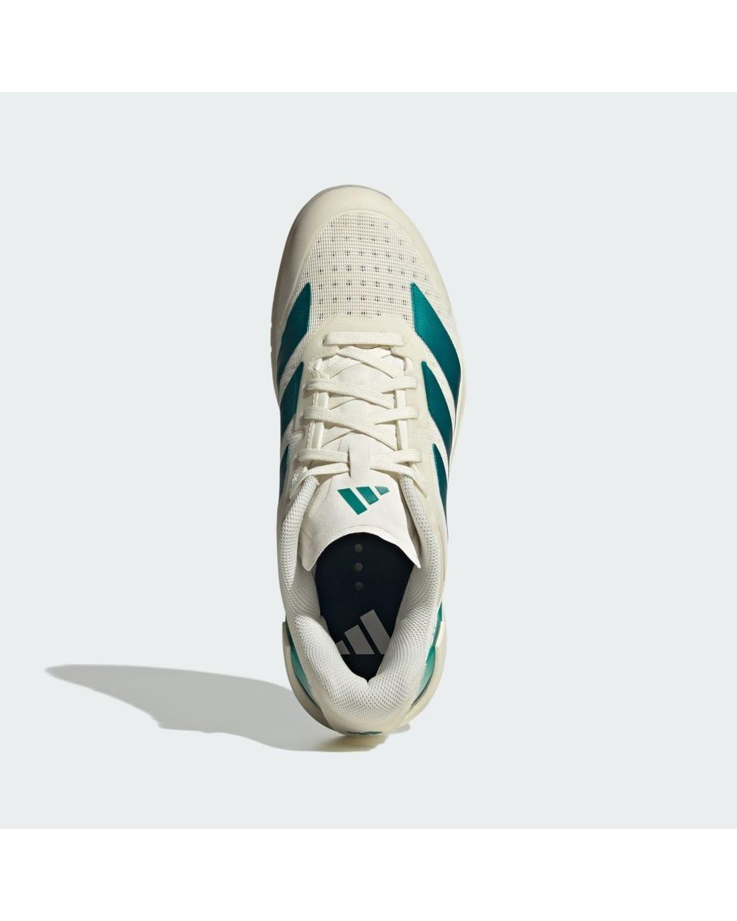 Adidas Blue Adizero Counterblast Indoor Shoes for men