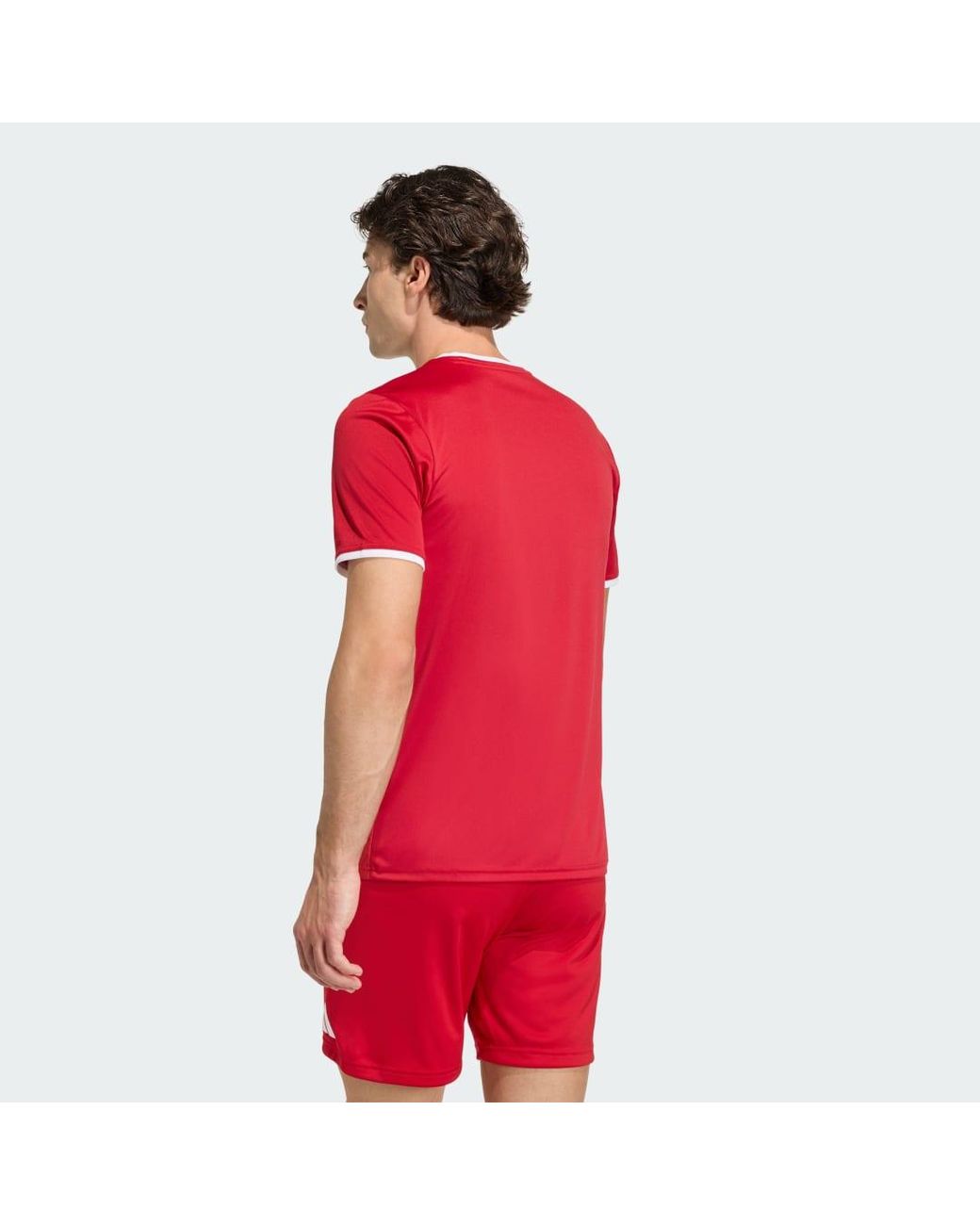 Adidas Red Entrada26 Graphic Jersey for men