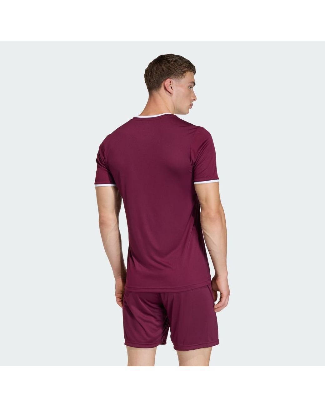 Adidas Purple Entrada26 Jersey for men