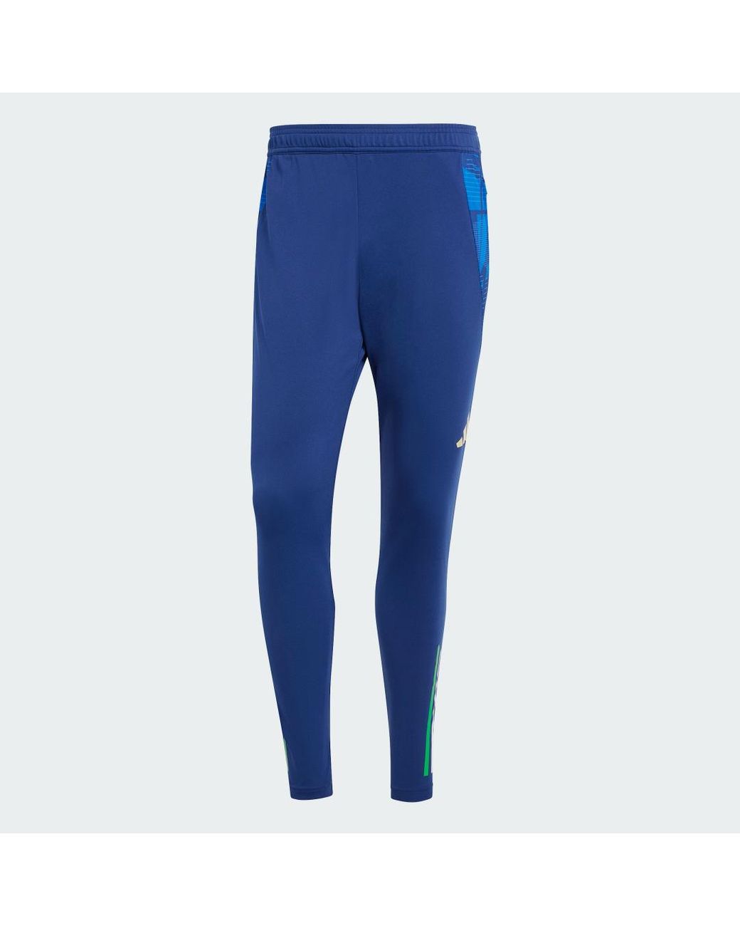 Adidas Blue Italy Tiro 24 Competition Training Pants for men