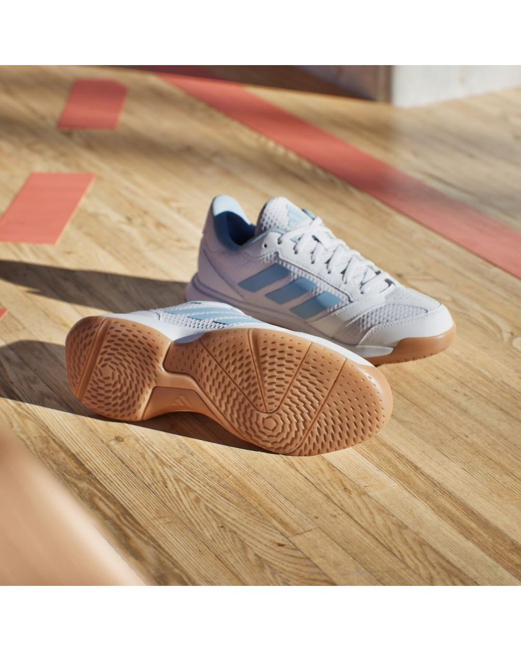 Adidas Blue Ligra 8 Indoor Shoes