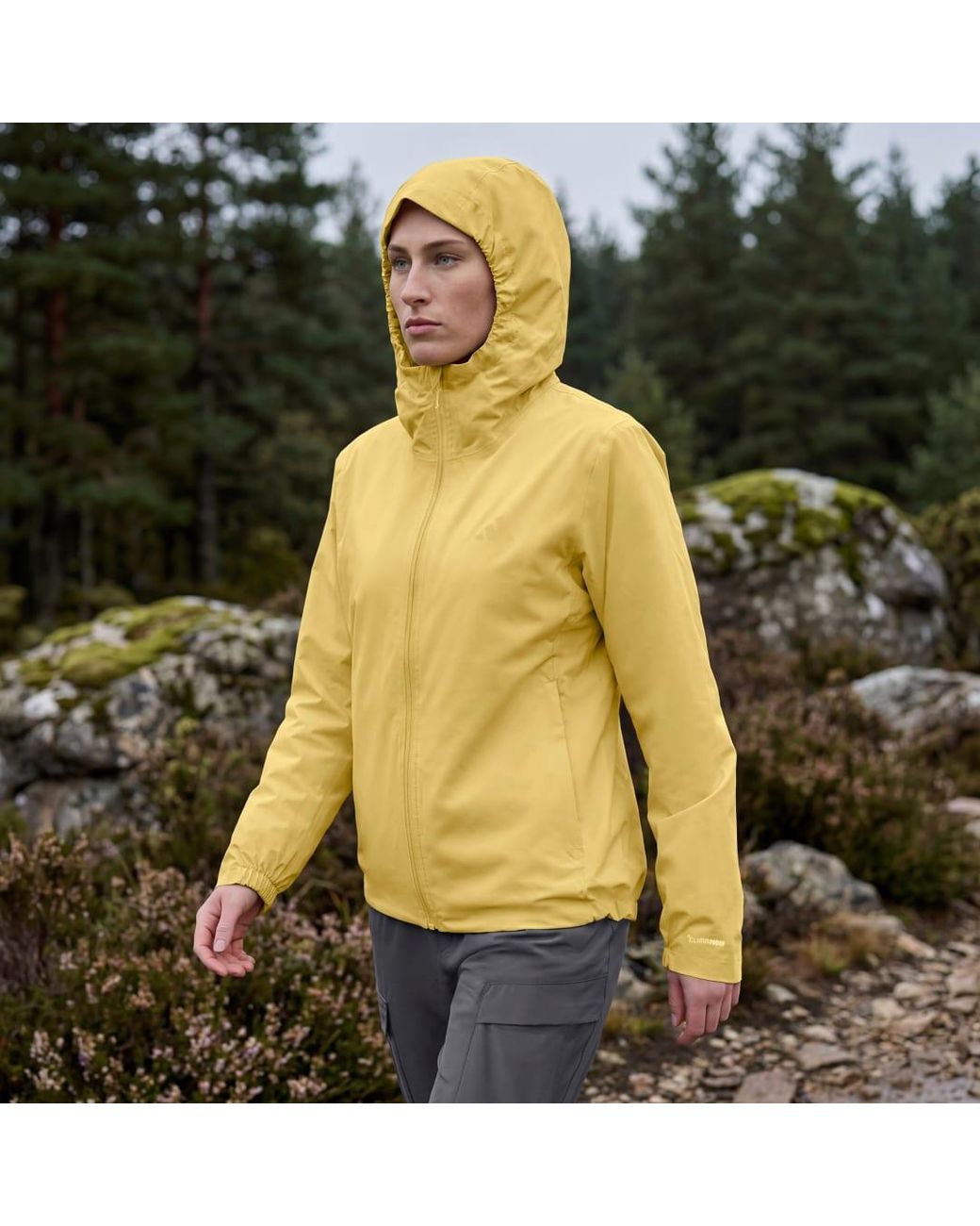 Adidas Originals Yellow Terrex Multi Essentials Climaproof Insulated Hooded Jacket
