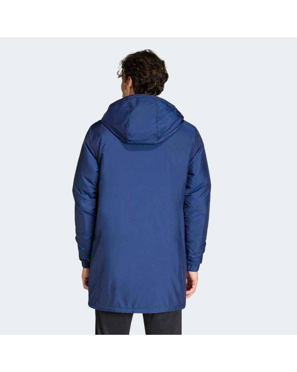 Adidas Blue Entrada26 Stadium Jacket for men