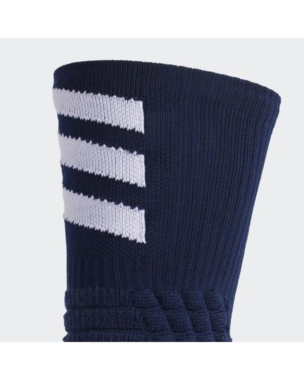 creator 365 crew socks