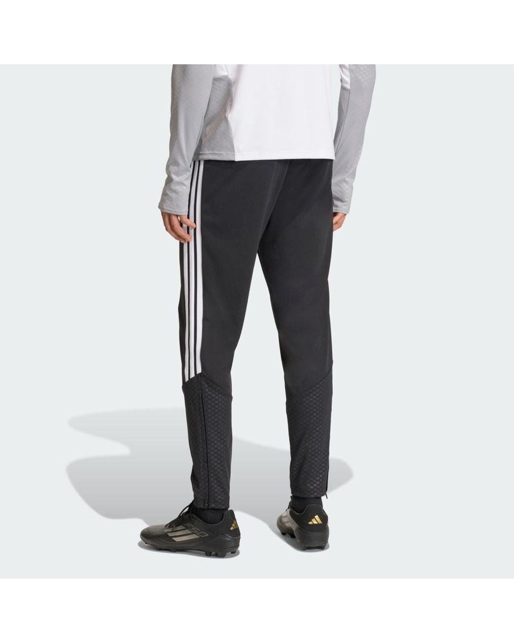 Adidas Blue Sl Benfica Training Bottoms for men