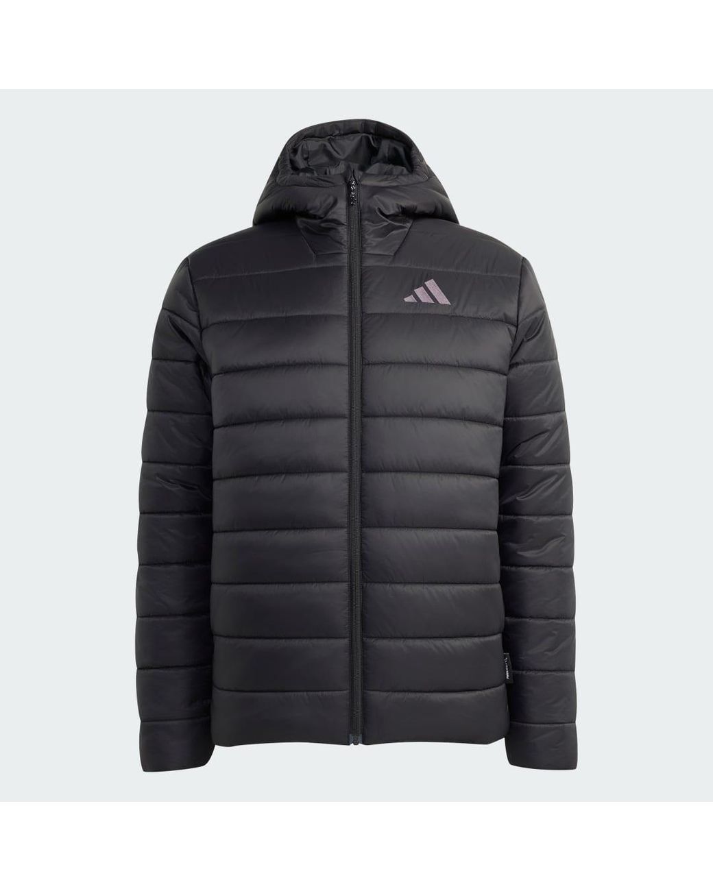 Adidas Gray Terrex Multi Essentials Climawarm Insulated Hooded Jacket for men