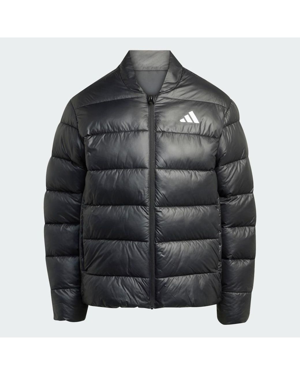 Adidas Black Essentials Climawarm Synthetic Down Jackets for men
