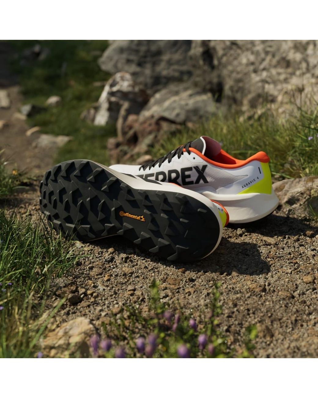 Adidas White Terrex Agravic 4 Trail Running Shoes for men