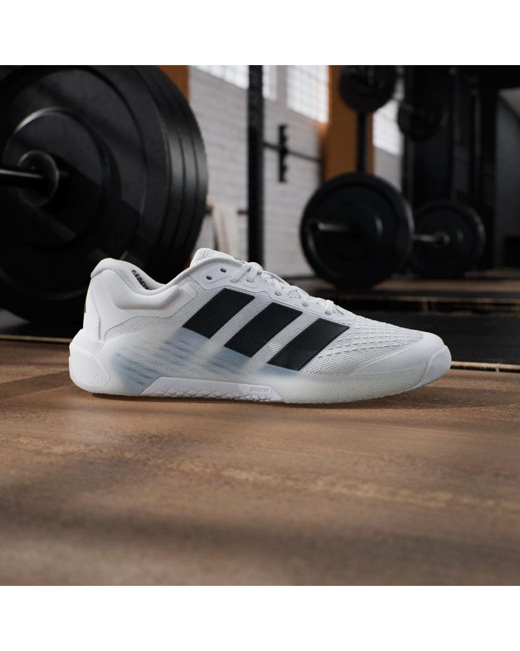 Adidas White Dropset Training Shoes