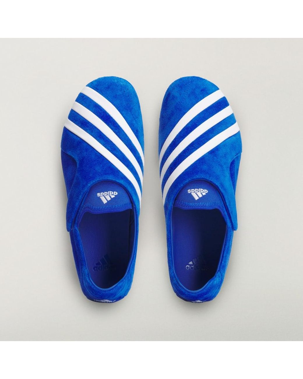 Adidas Blue Pw Vario Flat Earther Trainers