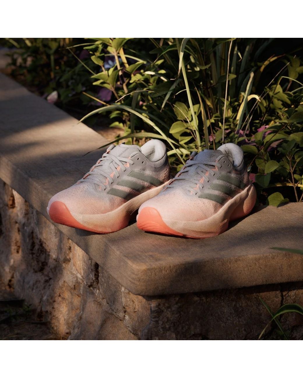 Adidas Pink Supernova Rise 3 Running Shoes