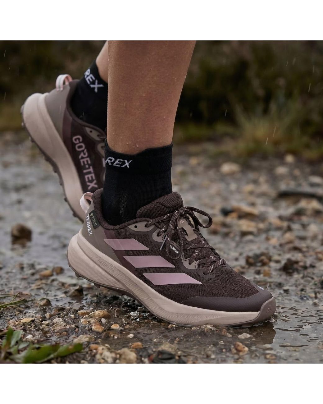 Adidas Brown Terrex Tracefinder Plus Gore-Tex Trail Running Shoes