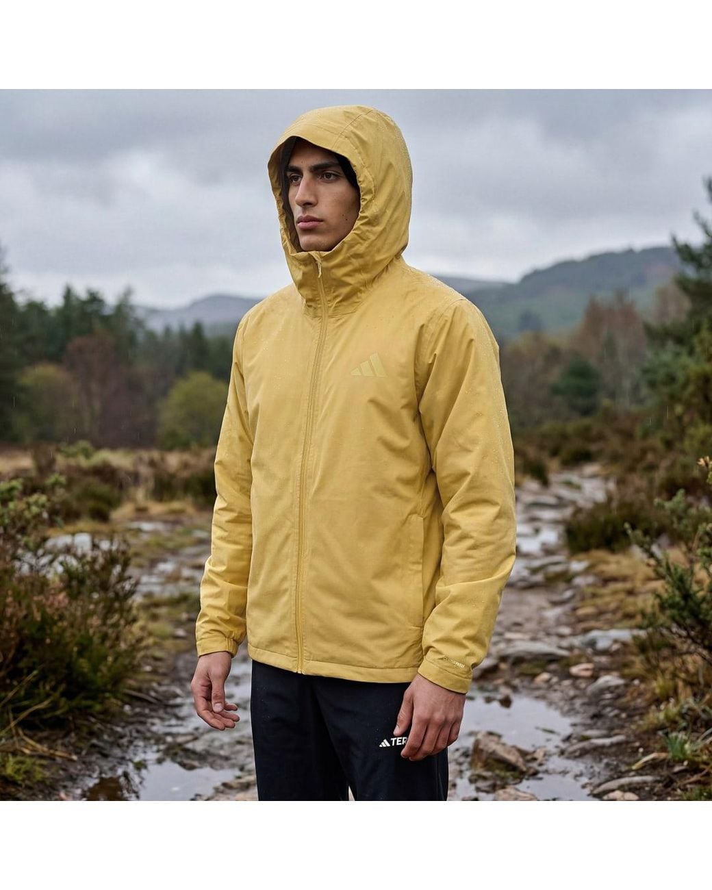 Adidas Yellow Terrex Multi Essentials Climaproof Insulated Hooded Jacket for men