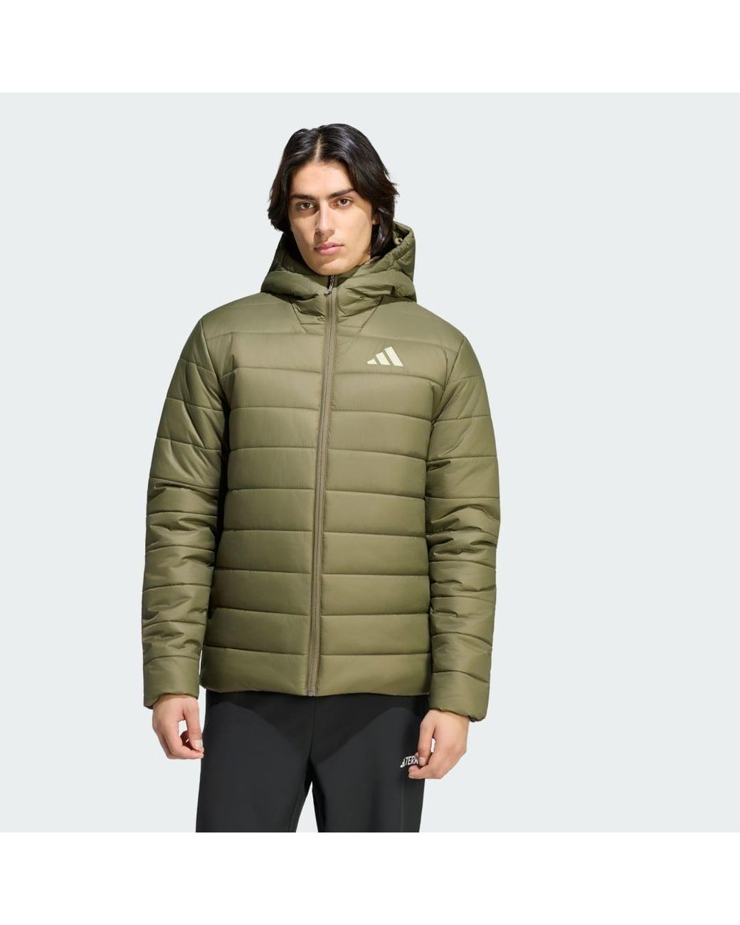 Adidas Originals Green Terrex Multi Essentials Climawarm Insulated Hooded Jacket for men