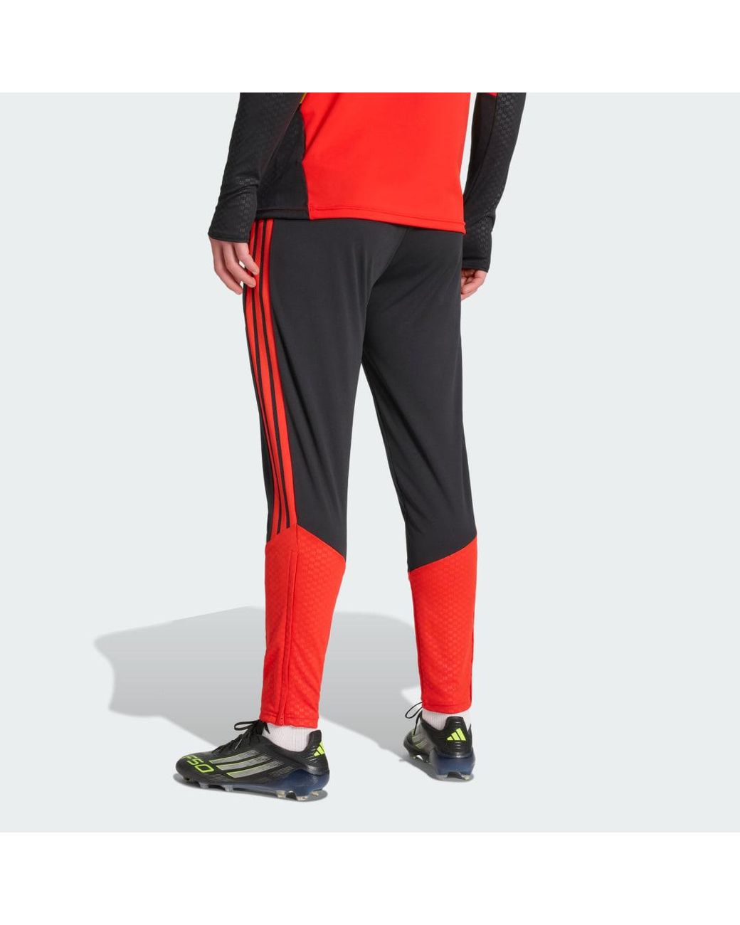 Adidas Red Belgium 26 Tiro Training Pants for men