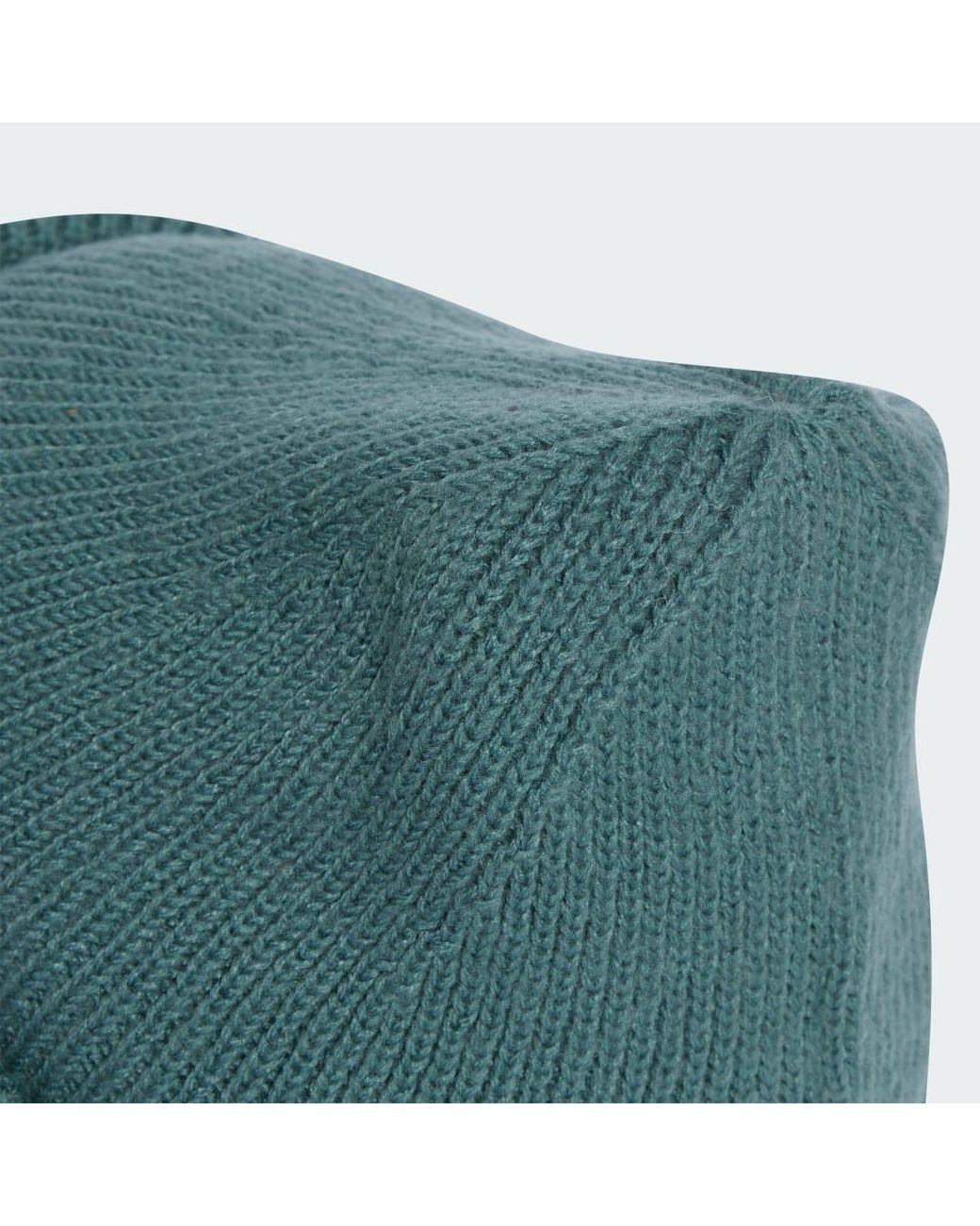 Adidas Green Dsv Terrex Multi Beanie
