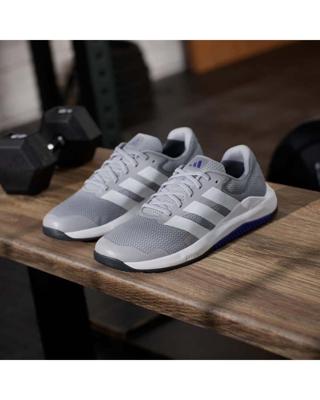 Adidas White Dropset Base Training Shoes for men