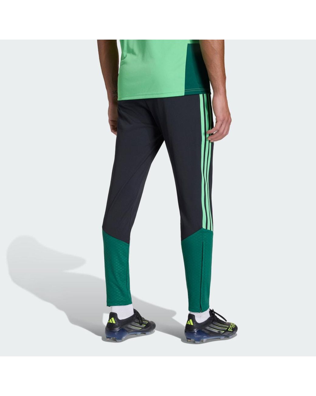 Adidas Blue Mexico 26 Tiro Training Pants for men