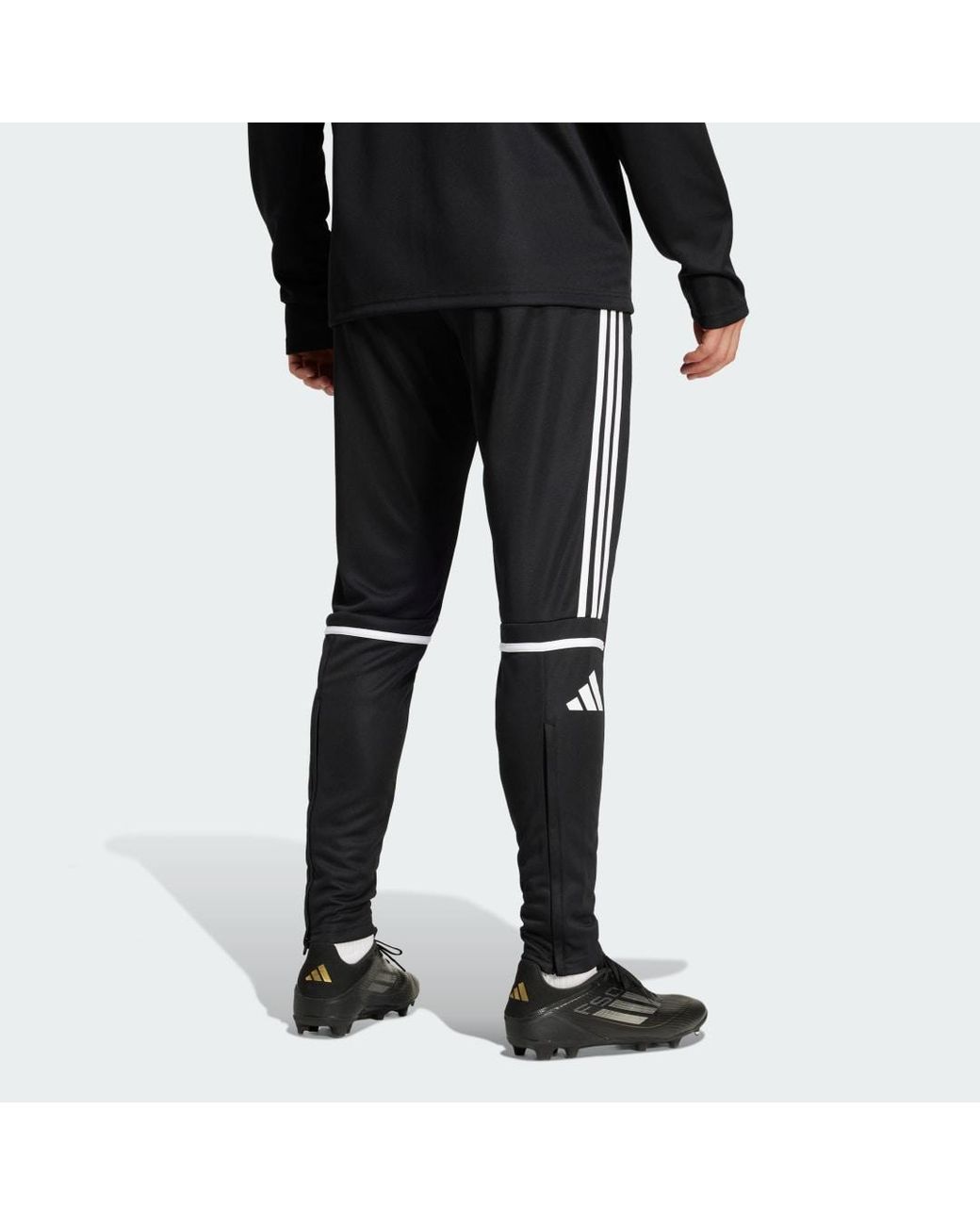 Adidas Black Squadra 25 Training Pants for men