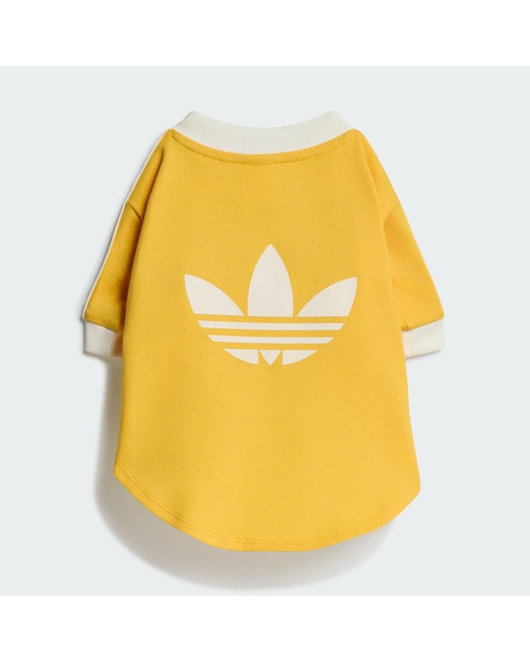 Adidas Yellow Pet Cali Tee