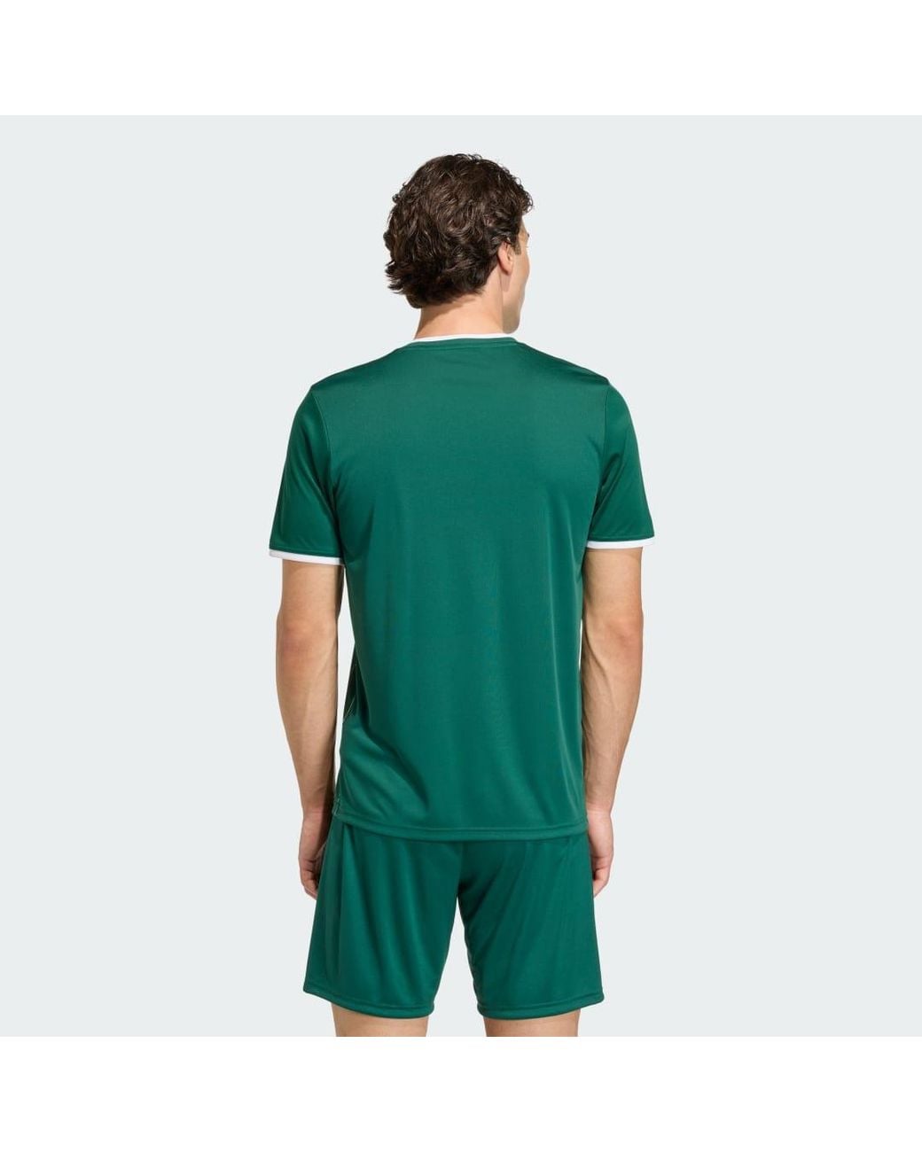 Adidas Green Entrada26 Graphic Jersey for men