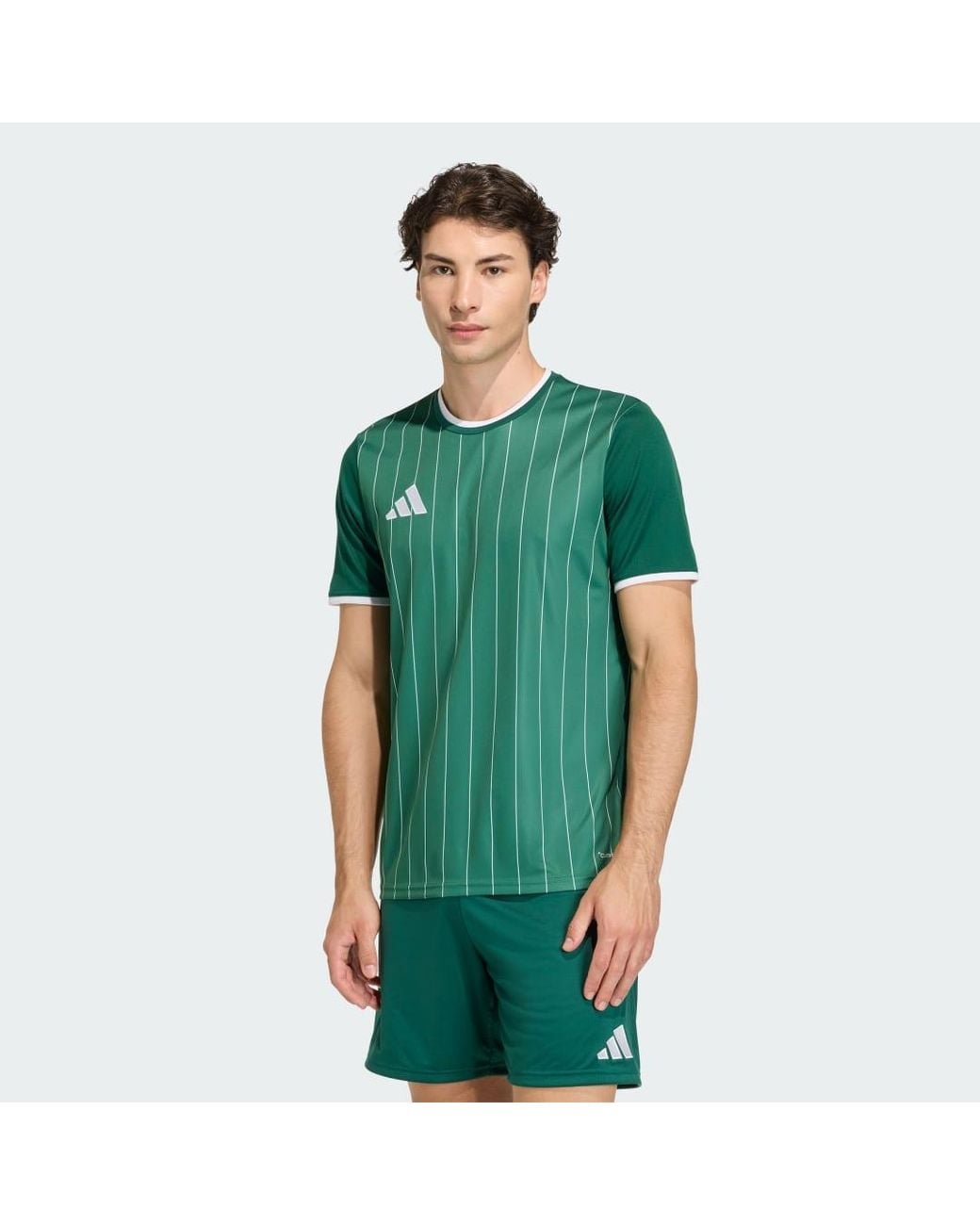 Adidas Green Entrada26 Graphic Jersey for men