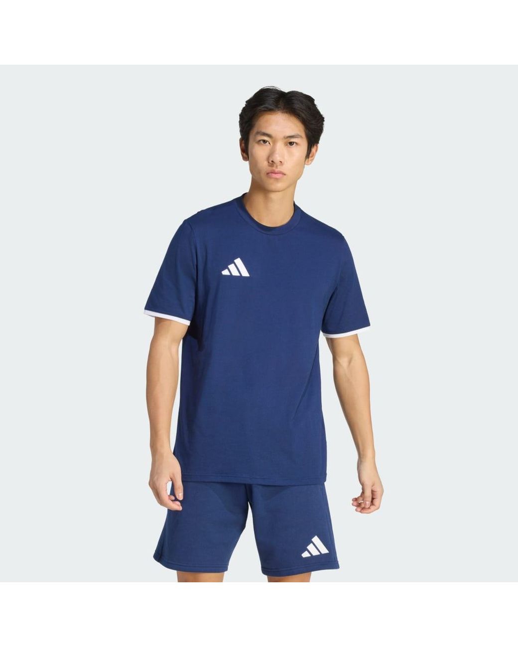 Adidas Blue Entrada26 T-Shirt for men
