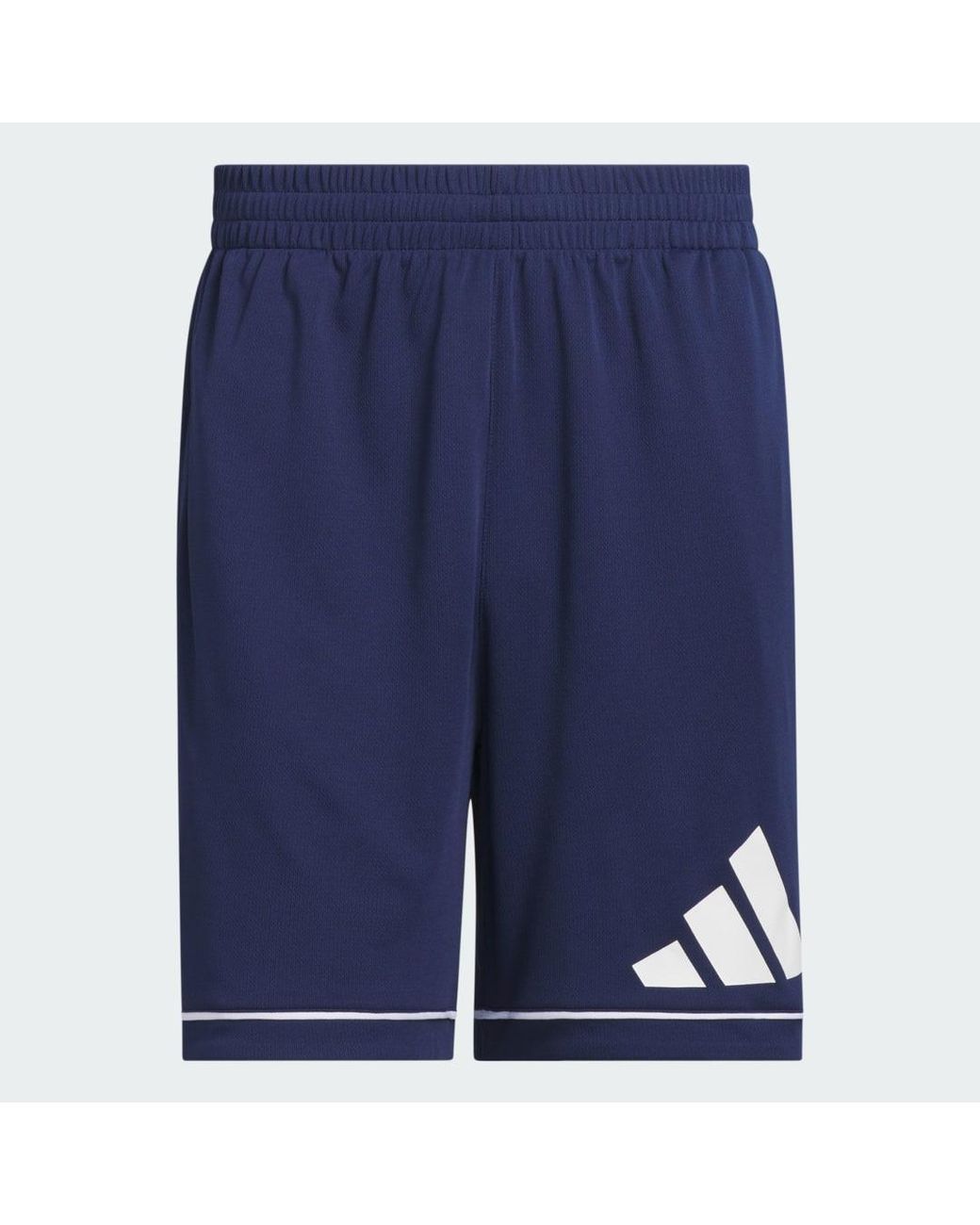 Adidas Originals Blue Basketball Badge Of Sport Shorts for men