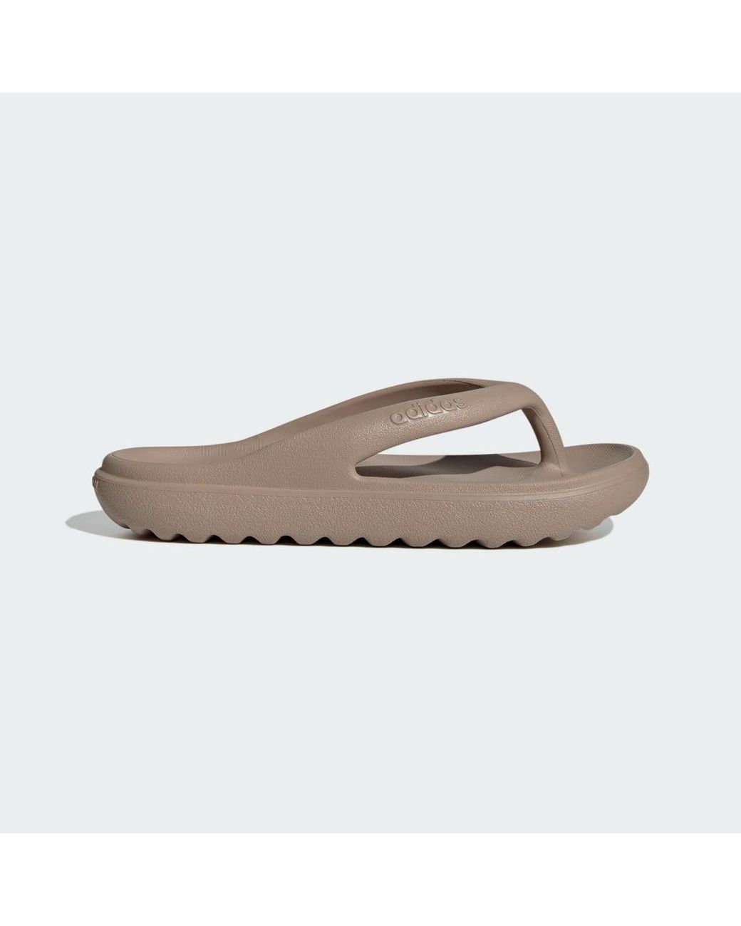 Adidas Brown Adilette Lumia Slides
