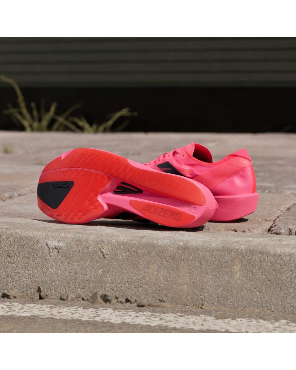 Adidas Pink Adizero Takumi Sen 11 Running Shoes for men