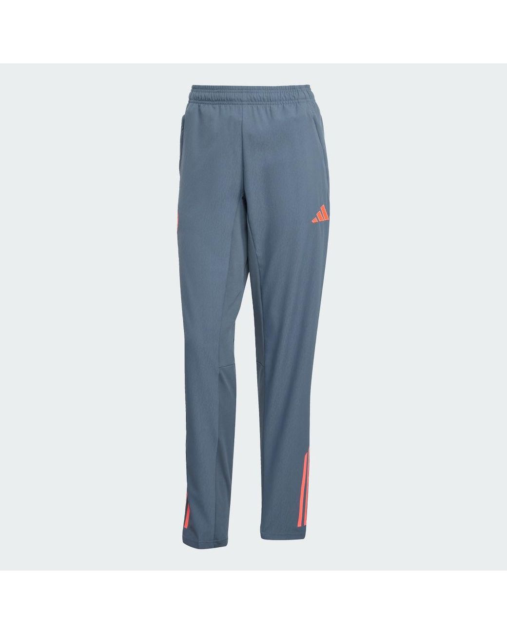 Adidas Blue Fc Bayern Tiro 25 Competition Presentation Tracksuit Bottoms for men