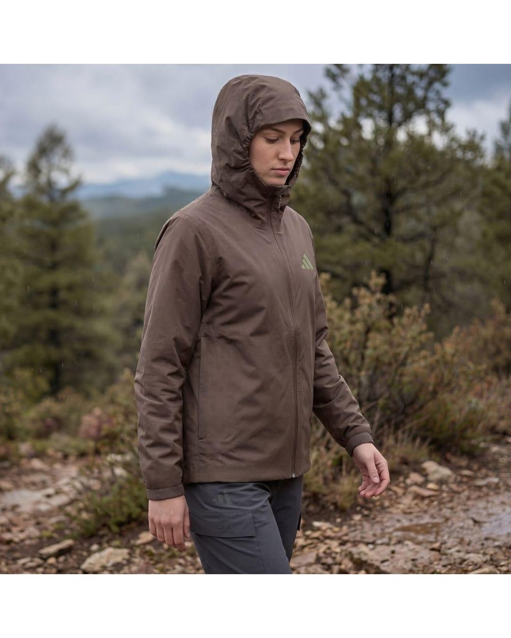 Adidas Brown Terrex Multi Essentials Climaproof Insulated Hooded Jacket