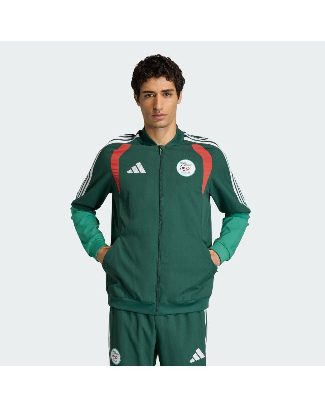 Adidas Green Algeria 26 Presentation Jacket for men