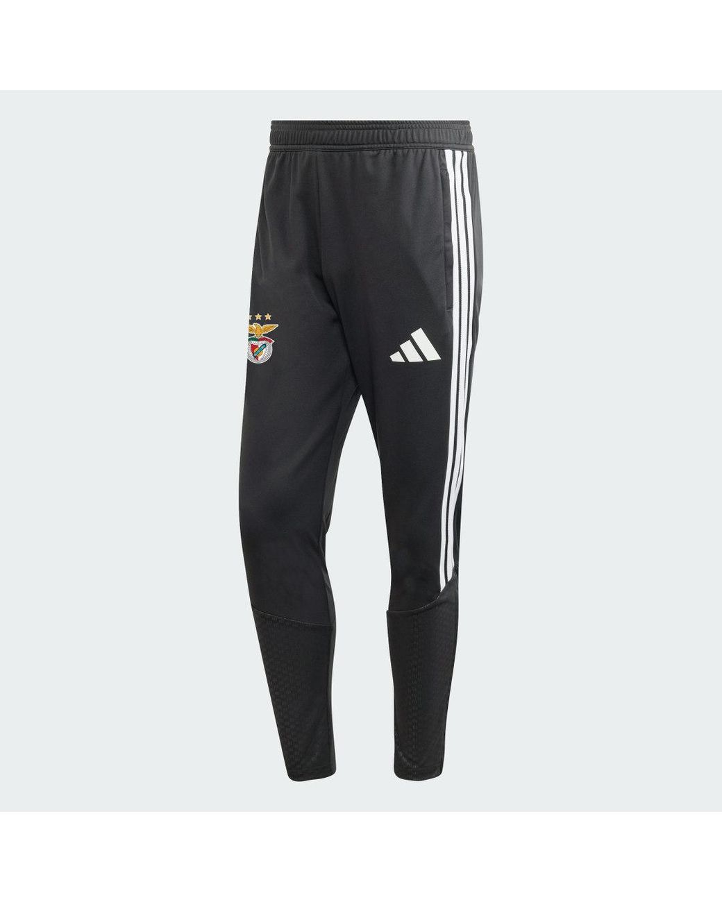 Adidas Blue Sl Benfica Training Bottoms for men